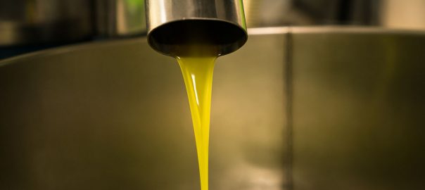 ¿Qué requisitos debe cumplir un aceite de oliva para ser considerado virgen extra?