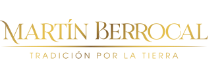 Logo de Martín Berrocal
